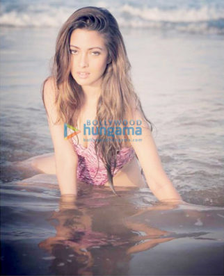 Celebrity Photos of Riya Sen