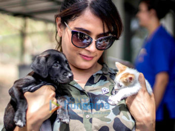 Richa Chadha spends the day at the ResQ Animals shelter
