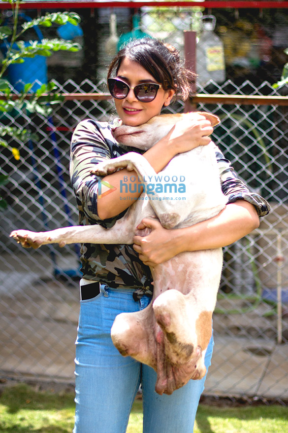richa chadda spends the day with resq animals 4