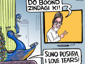 Bollywood Toons: Amitabh Bachchan inspires peacocks!
