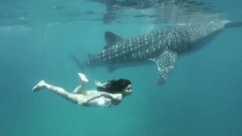 OMG! Katrina Kaif goes underwater to celebrate World Oceans Day!