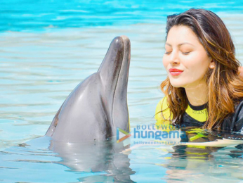 Urvashi Rautela celebrates World Environment Day
