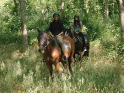 Watch: Shraddha Kapoor enjoys her vacation going horse riding with her BFF in Italy