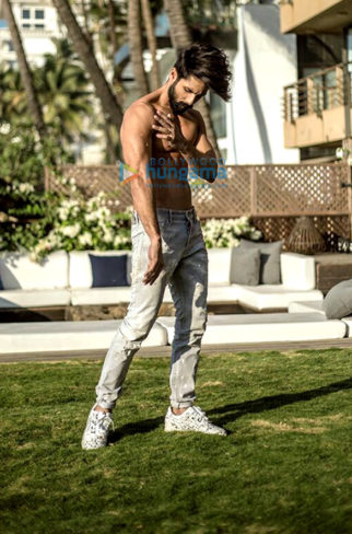 Celebrity Photos of Shahid Kapoor