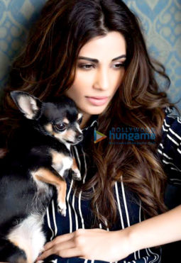 Celebrity Photo Of Daisy Shah