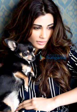 Celebrity Photo Of Daisy Shah