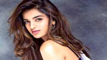 Celebrity Photos of Nidhhi Agerwal