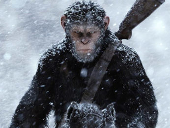 Box Office: War For The Planet Of The Apes collects Rs. 12.75 cr in Week 1 Box Office: War For The Planet Of The Apes collects Rs. 12.75 cr in Week 1
