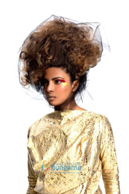 Celebrity Photo Of Priyanka Chopra
