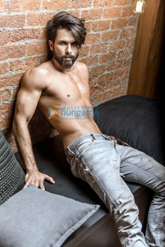 Celebrity Photo Of Shahid Kapoor