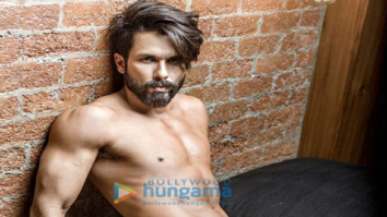 Celebrity Photo Of Shahid Kapoor