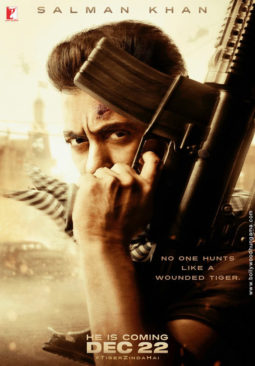 First Look Of The Movie Tiger Zinda Hai