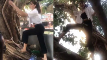 WOW! Jacqueline Fernandez climbs and dances on top of a tree for a good cause