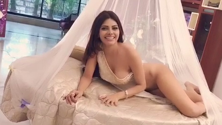 Shefali Zariwala Sex Video Hd - Sherlyn Chopra is TOO HOT to handle in this WOW photoshoot. | Images -  Bollywood Hungama