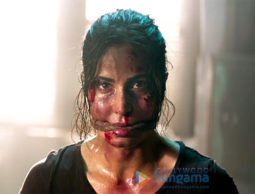 Movie Stills Of The Movie Tiger Zinda Hai