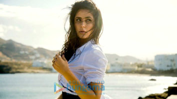 Movie Stills Of The Movie Tiger Zinda Hai