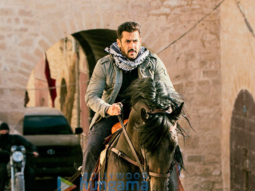 EXCLUSIVE: Tiger hunts on a horseback in Morocco!