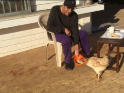 We can’t get enough of Dharmendra’s charm in this video shared by his son Sunny Deol