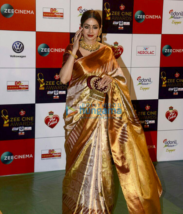 celebs grace the red carpet of zee cine awards 2017 more image 3