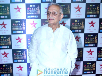 Celebs walk the red carpet of Star Screen Awards 2017