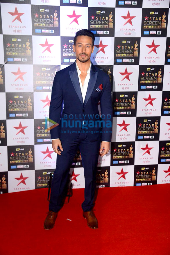 celebs walk the red carpet of star screen awards 2017 10