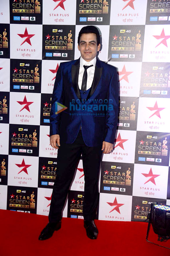 celebs walk the red carpet of star screen awards 2017 5