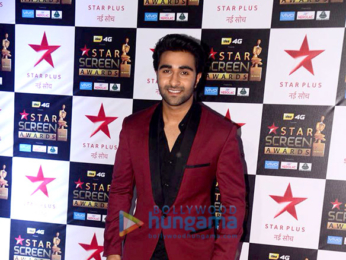 Celebs walk the red carpet of Star Screen Awards 2017