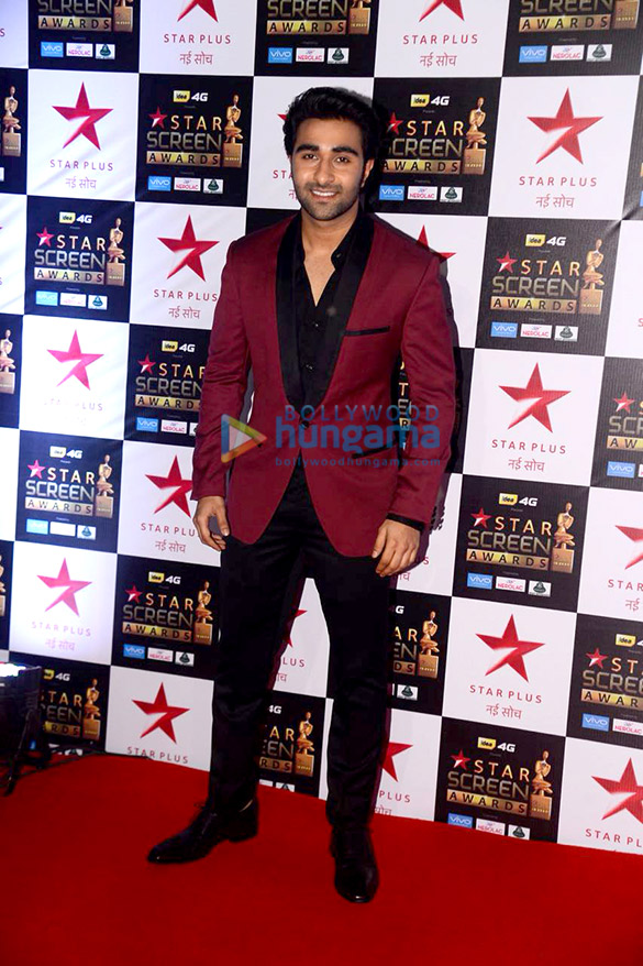 celebs walk the red carpet of star screen awards 2017 8