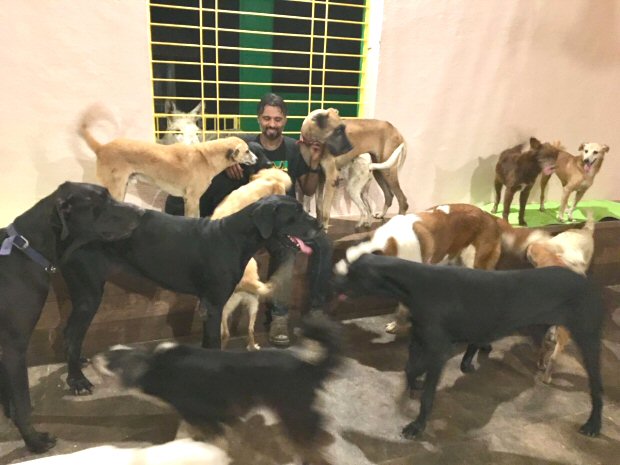 Pooja Bhatt turns her farmhouse into a 22,000 square feet animal shelter1