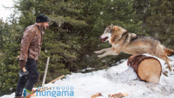 Tiger Zinda Hai: Salman Khan shoots scary action sequence with a pack of blood-thirsty wolves
