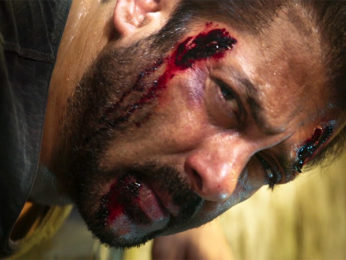 Box Office: Tiger Zinda Hai Day 8 in overseas Box Office: Tiger Zinda Hai Day 8 in overseas