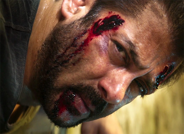 Tiger Zinda hai Day 8