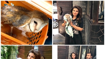 Here’s how Raveena Tandon rescued an owl