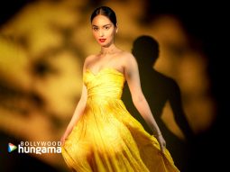 Celeb Wallpapers Of Manushi Chhillar