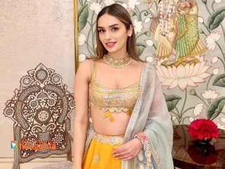 Celeb Wallpapers Of Manushi Chhillar