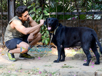 Saqib Saleem spotted in Bandra with his dog