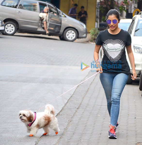sophie choudry snapped with her dog 1