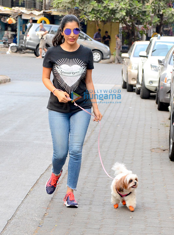 sophie choudry snapped with her dog 4