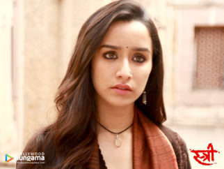 Wallpapers Of The Movie Stree