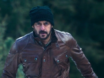 Box Office: Tiger Zinda Hai Day 19 in overseas Box Office: Tiger Zinda Hai Day 19 in overseas
