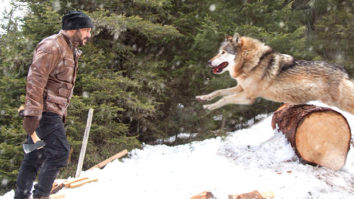 Box Office: Tiger Zinda Hai Day 33 in overseas