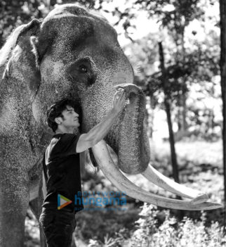 On The Sets Of The Movie Junglee