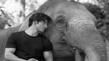 Vidyut Jammwal becomes an elephant whisperer for Junglee