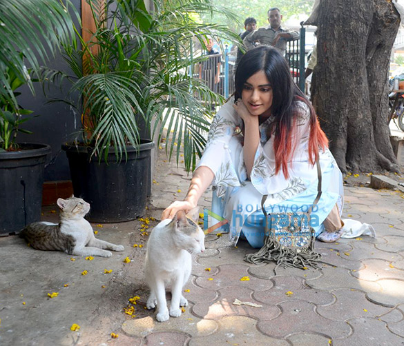 adah sharma spotted at a cafe 4