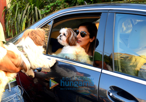 Sophie Choudry spotted with her pet at Bandstand