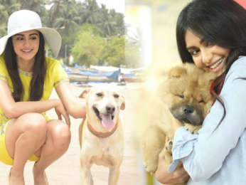 They are so GENTLE & LOVELY | Adah Sharma’s special DOG love!!!!