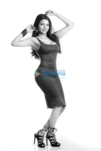 Celebrity Photo Of Sherlyn Chopra