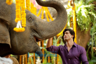 Movie Stills Of The Movie Junglee