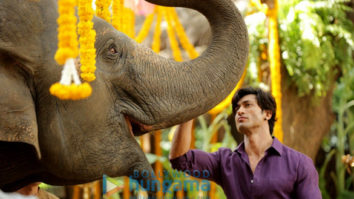 Movie Stills Of The Movie Junglee