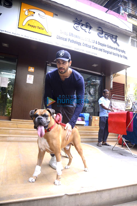 sidharth malhotra spotted at a dog hospital in bandra 2